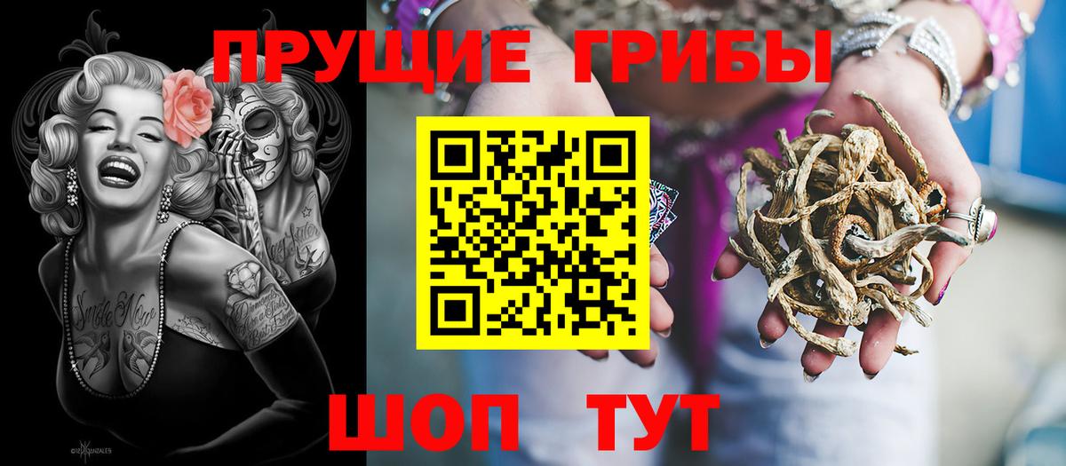 Каменка  Галлюциногенные грибы Magic Shrooms  Вход с VPN 